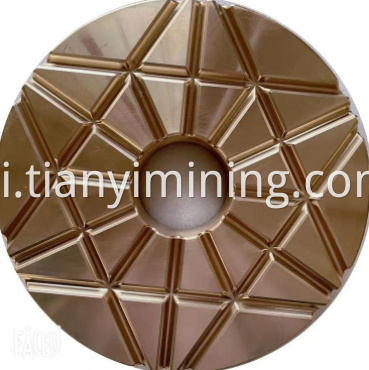 प्लेट CH660 पहने हुए Wearing Plate Ch660